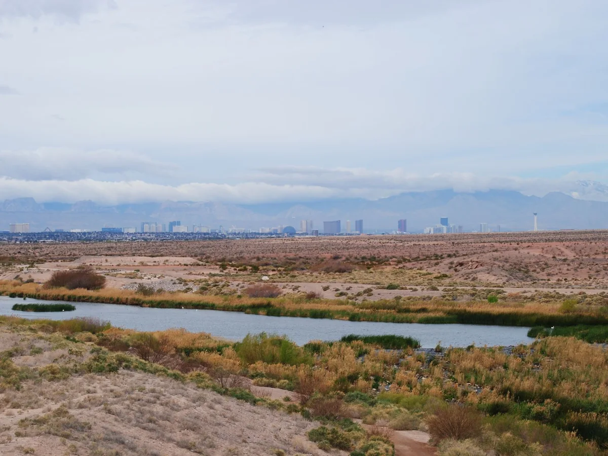 Vista del valle de Las Vegas con el Strip al fondo desde el este