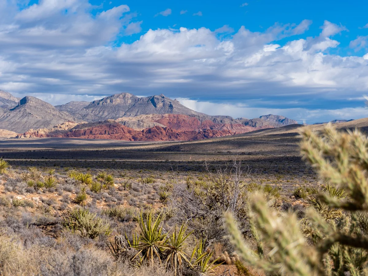 Formaciones rojas del Red Rock Canyon al oeste de Summerlin